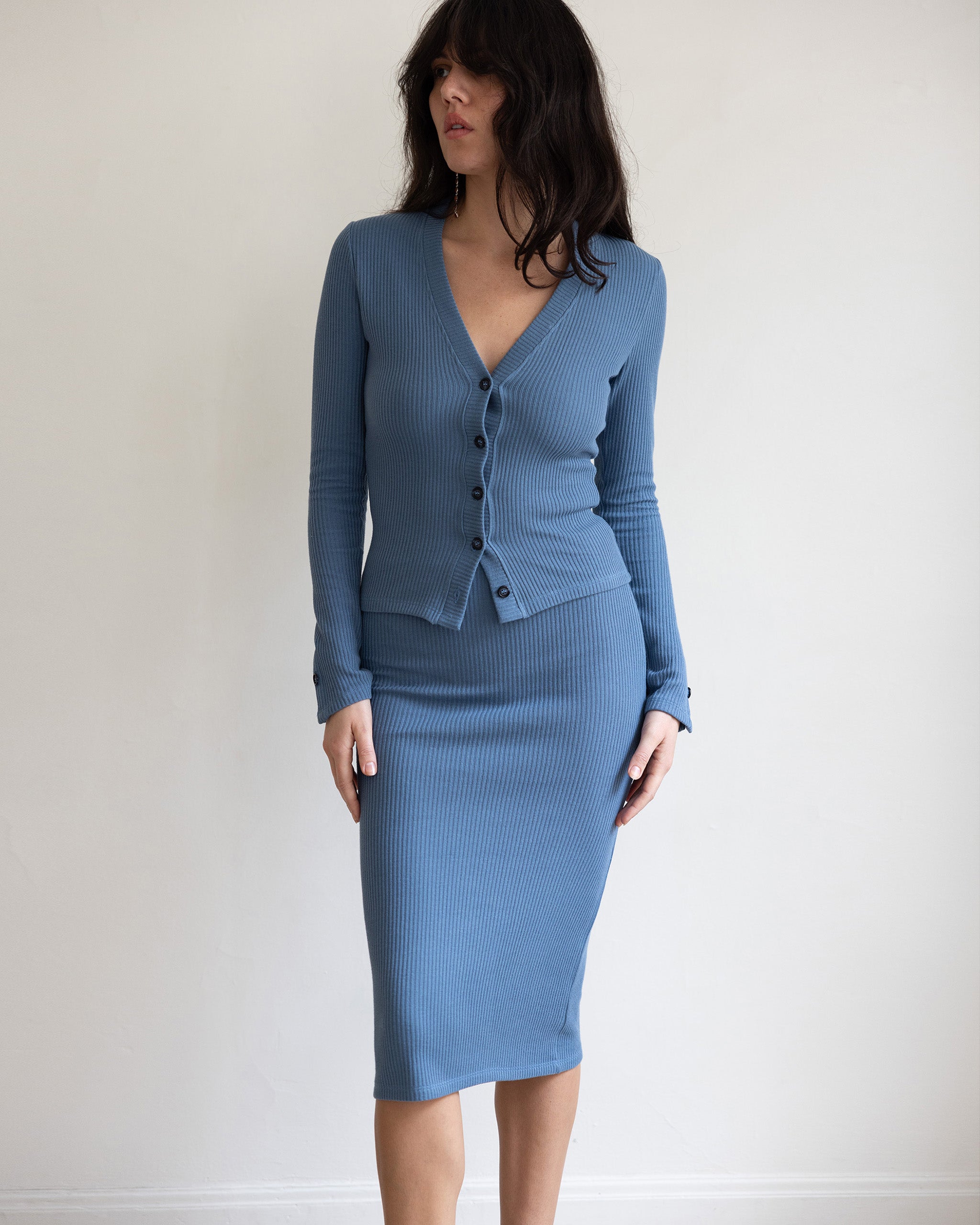 Worley Ribbed Knit Skirt